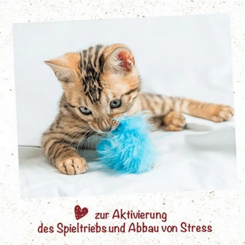 feliTATZ KatzenMinze Spray