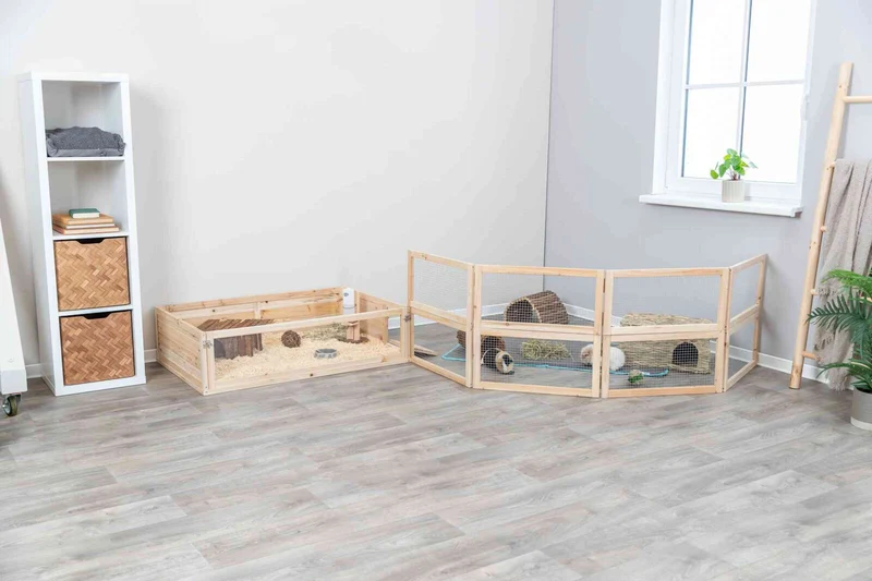 Indoor Freilaufgehege