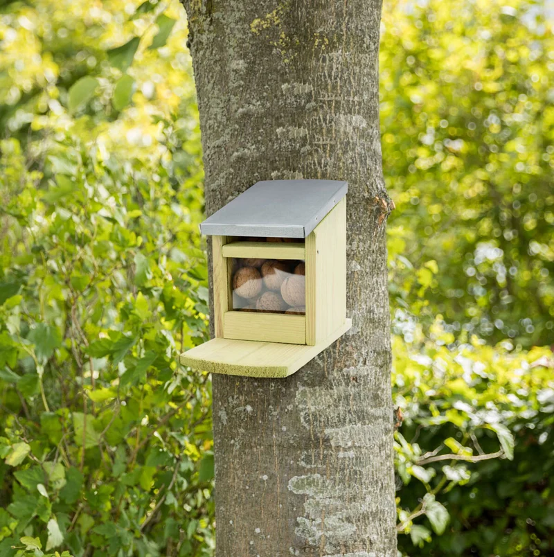 Futterstation für Eichhörnchen