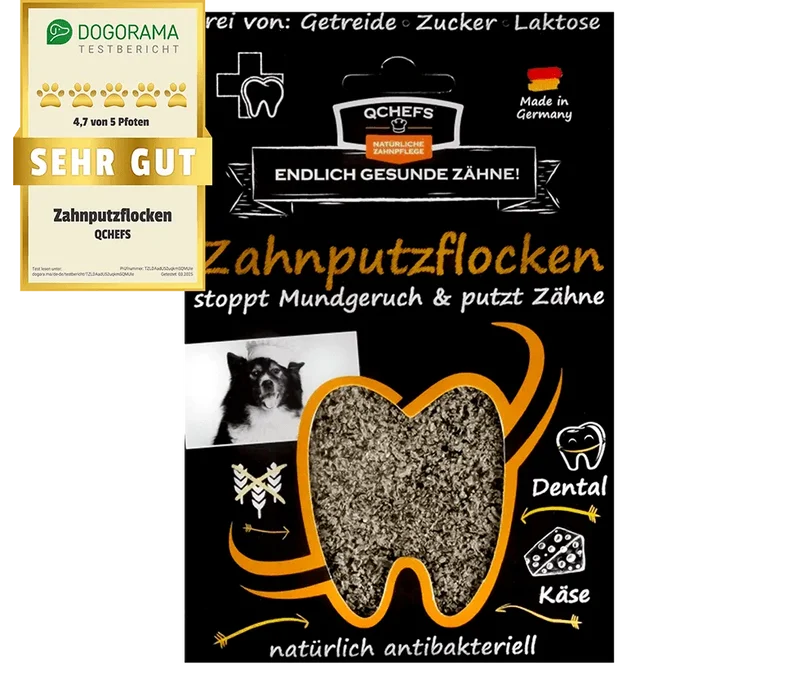 QChefs Zahnputzflocken