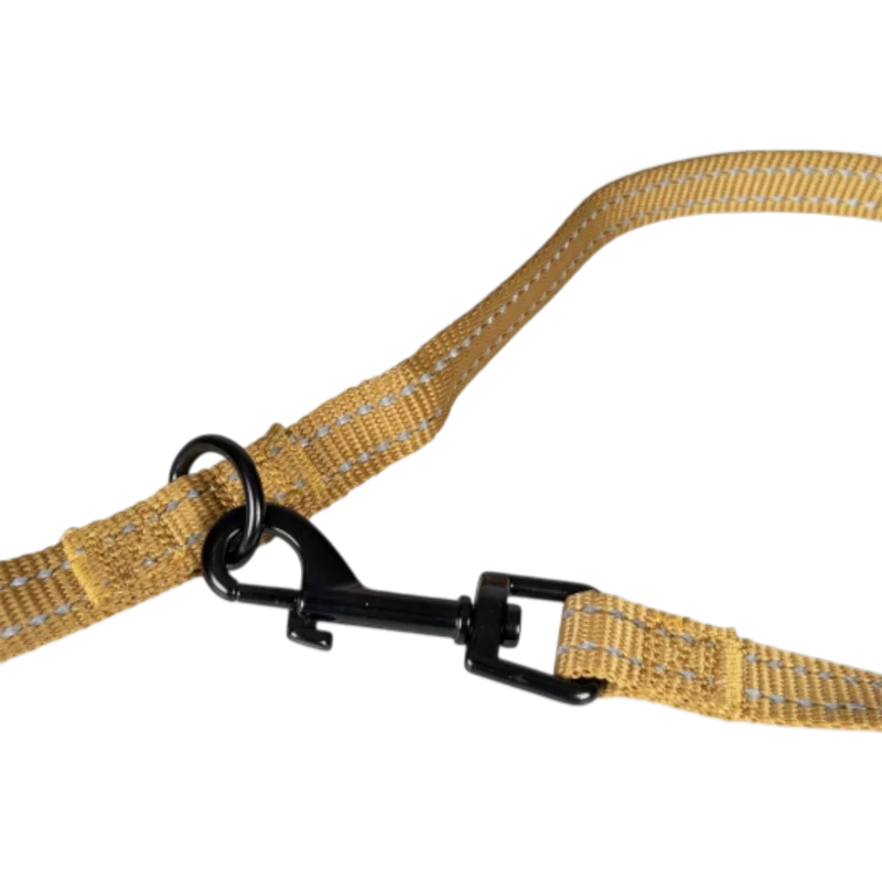 Duvoplus – Trainingsleine EXPLOR Ultimate Fit Safety