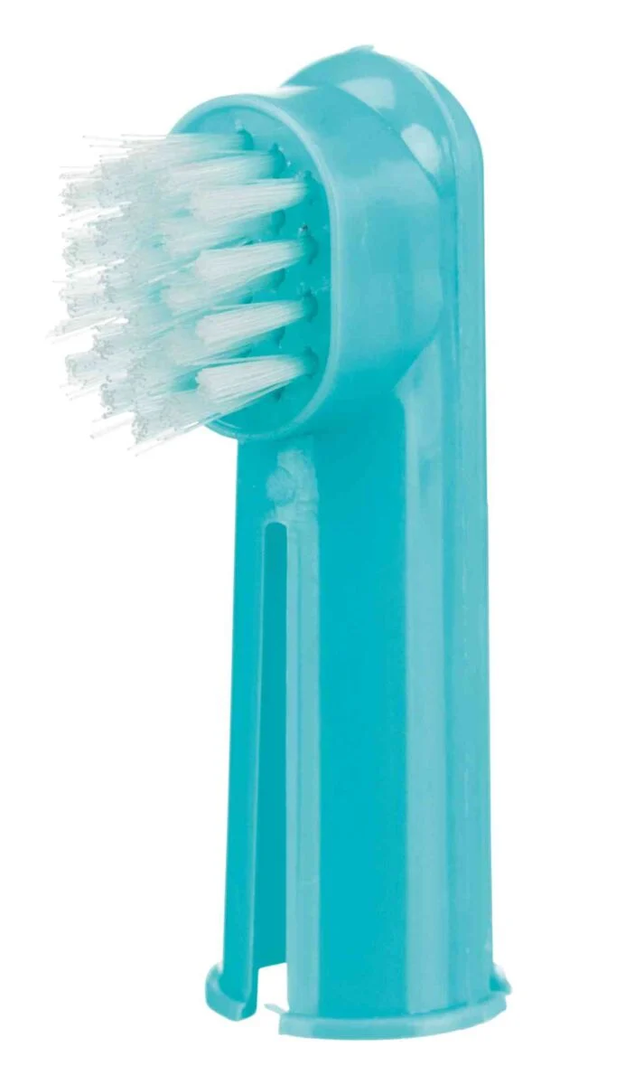 Zahnbürsten-Set