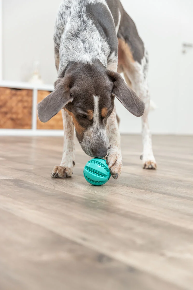 Denta Fun Ball