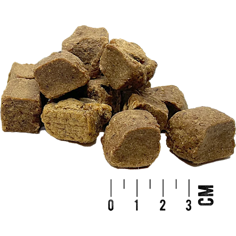 Tundra Dog - Pute / Immunsystem