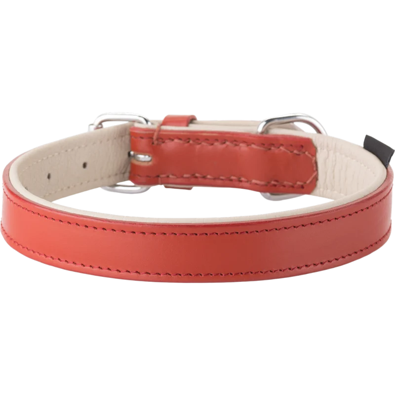 Knuffelwuff – Hundehalsband Ticino