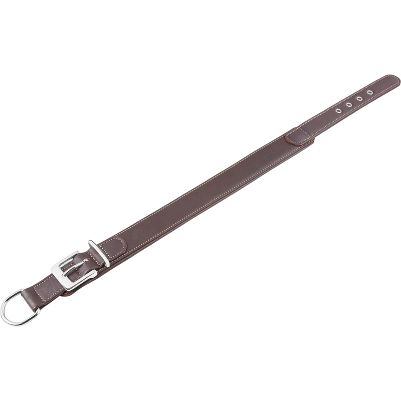 Knuffelwuff – Hundehalsband Glendale