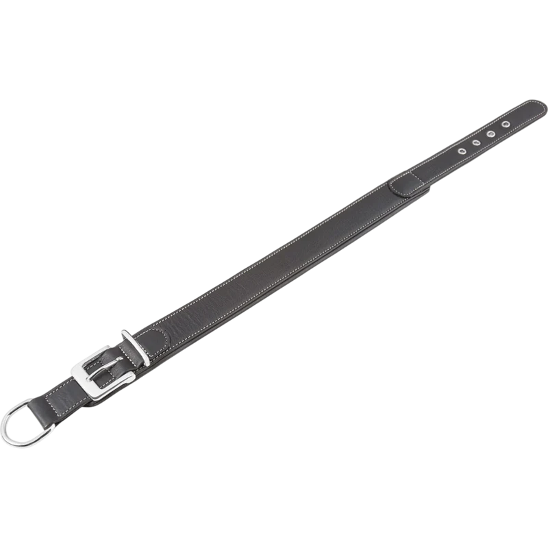 Knuffelwuff – Hundehalsband Glendale