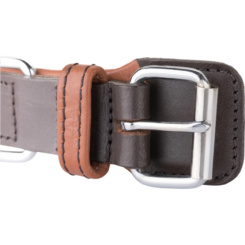 Knuffelwuff – Hundehalsband Detroit