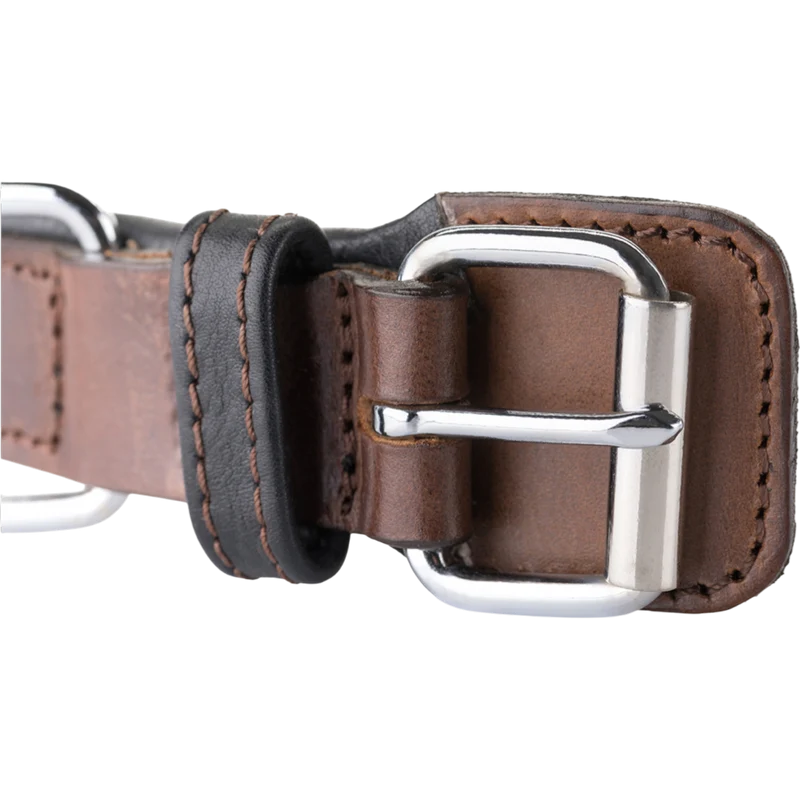 Knuffelwuff – Hundehalsband Detroit