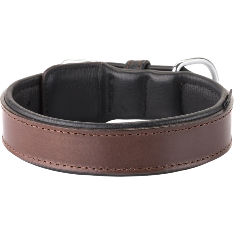 Knuffelwuff – Hundehalsband Detroit