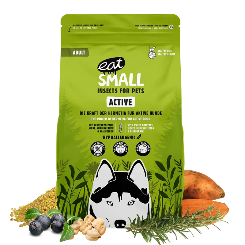 WALD/Active 100 g – Proteinreiches Trockenfutter aus Insekten für Hunde