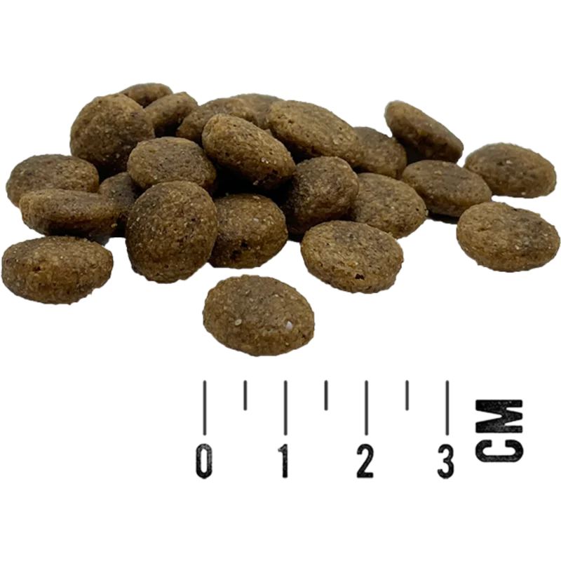 MAC’s Dog – Mono Frisches Rind & Süßkartoffel