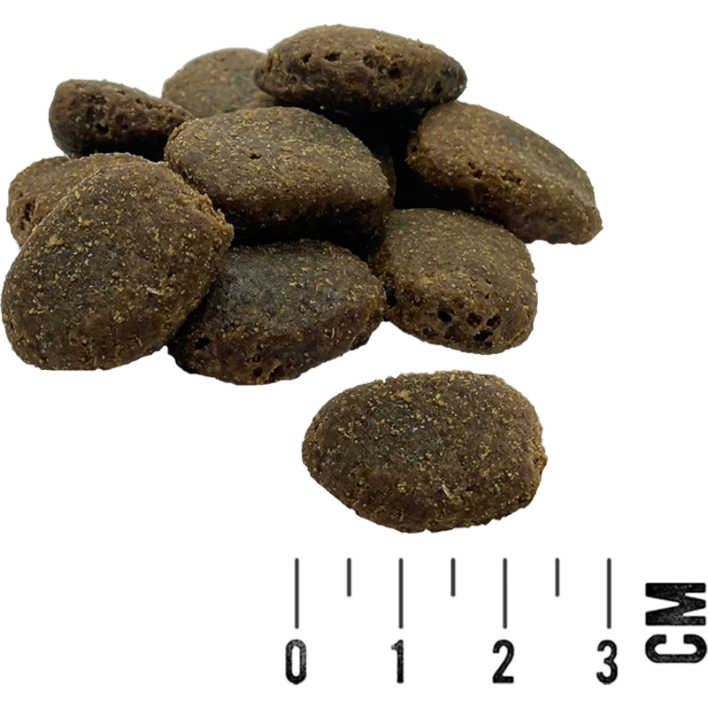 MAC’s Dog – Mono Large Breed Frische Pute & Kartoffel