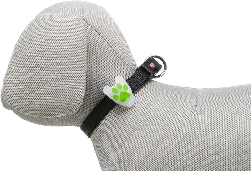 Flasher für Hunde