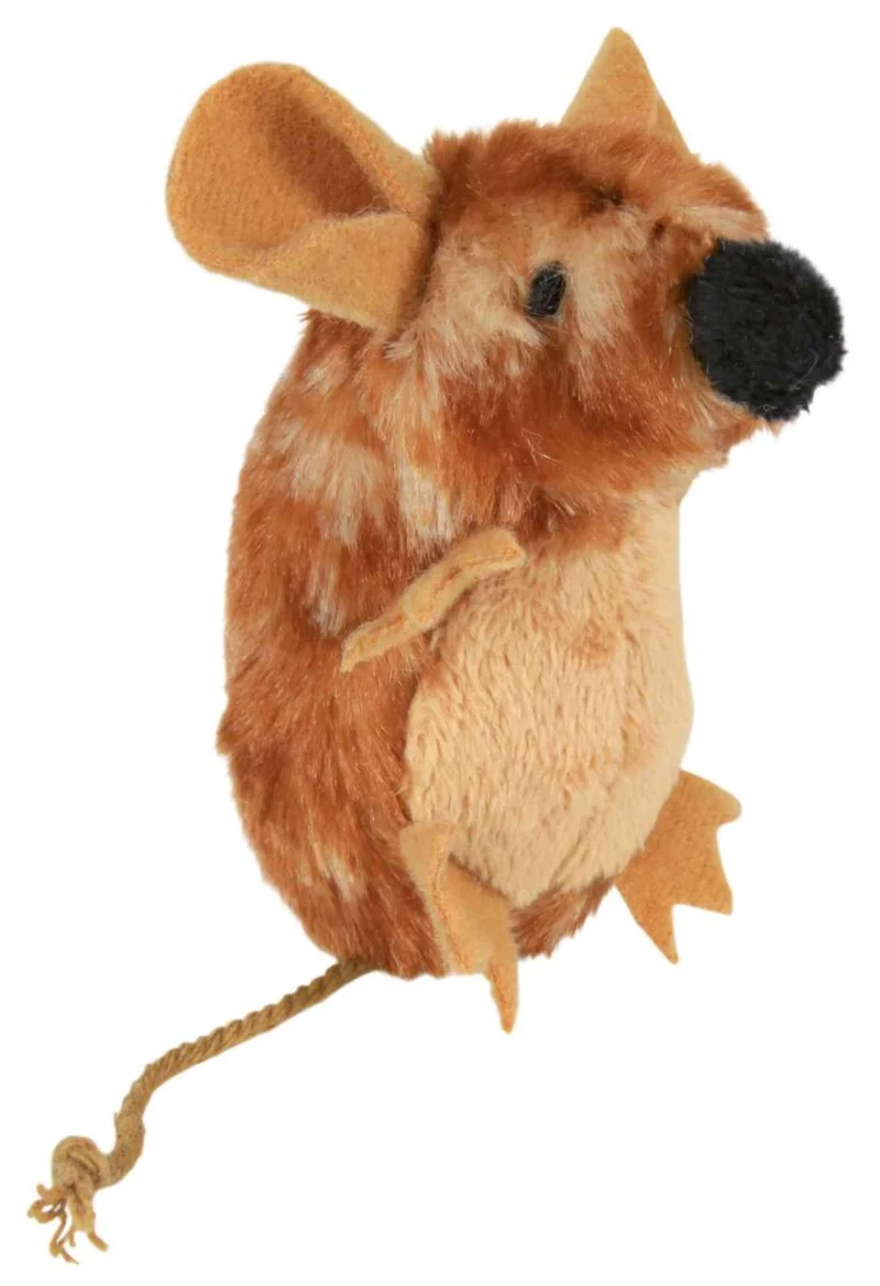 Maus