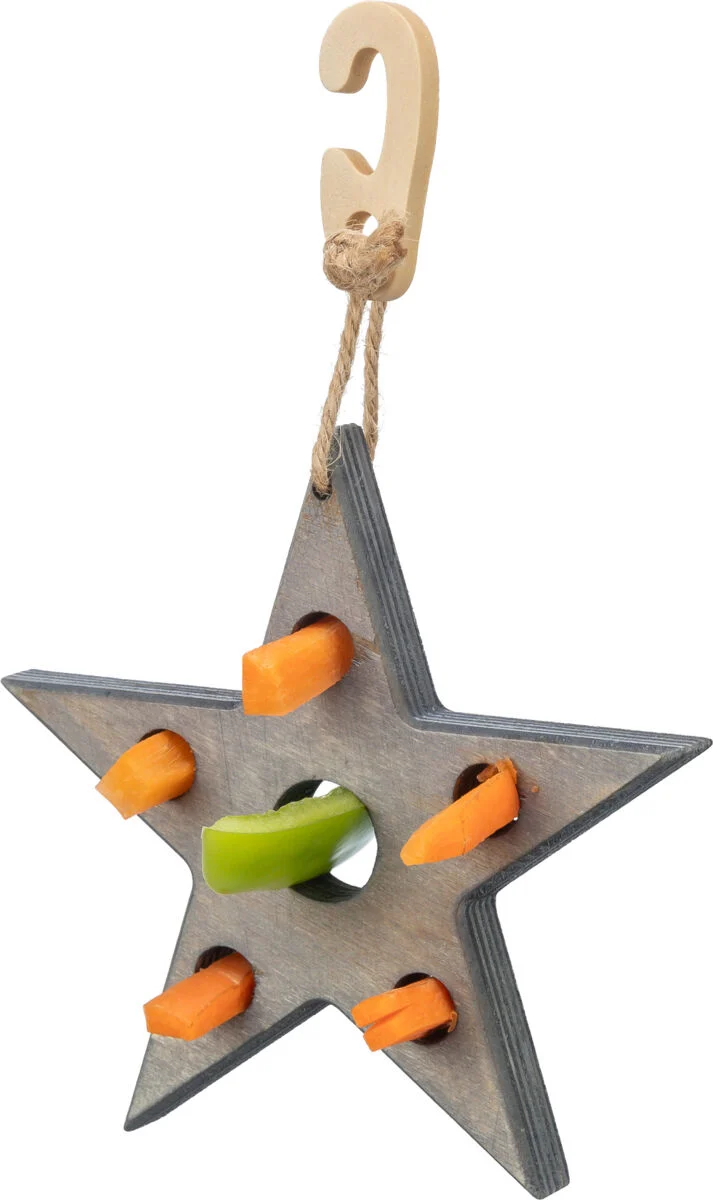 Spiel- und Snackstern