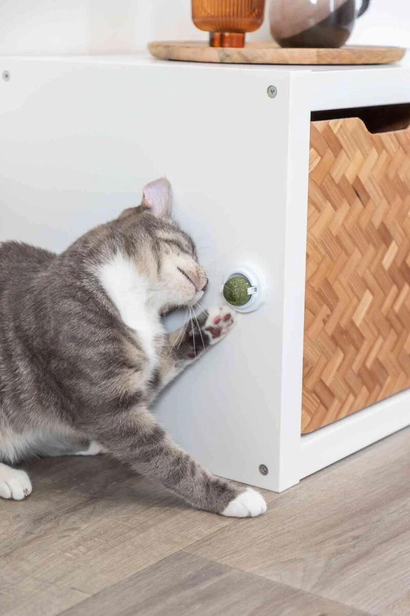 Katzenminze Ball mit Halterung