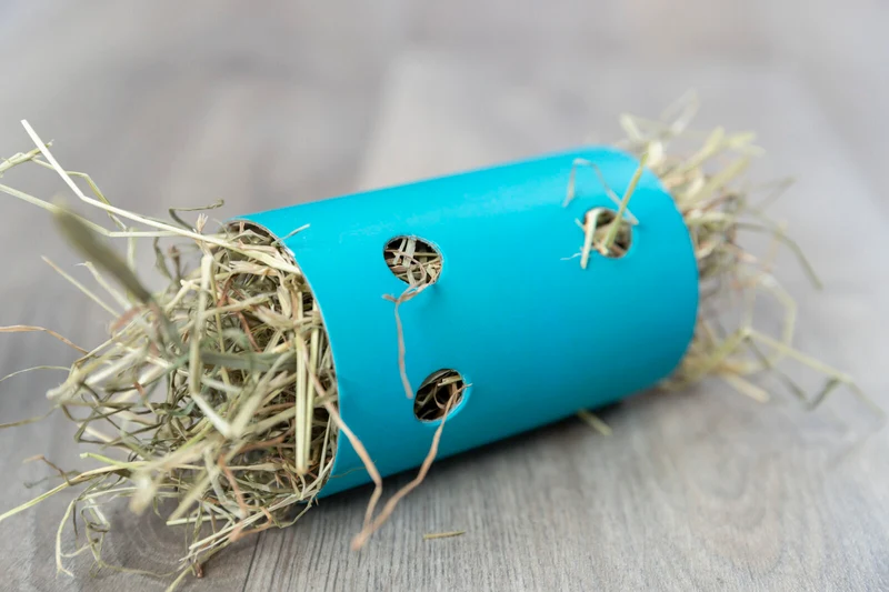 Snack & Food Roll