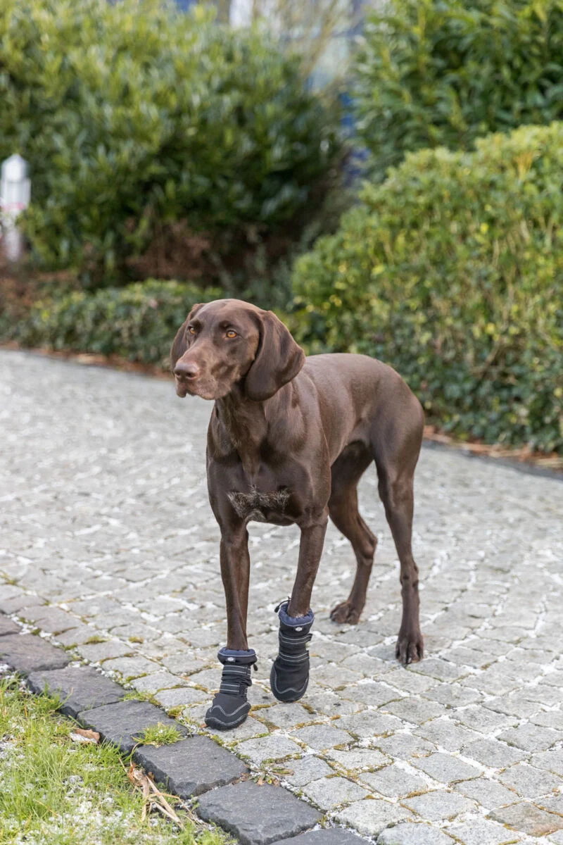 Pfotenschutz Walker Active Long
