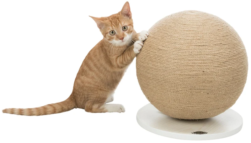 Kratzball