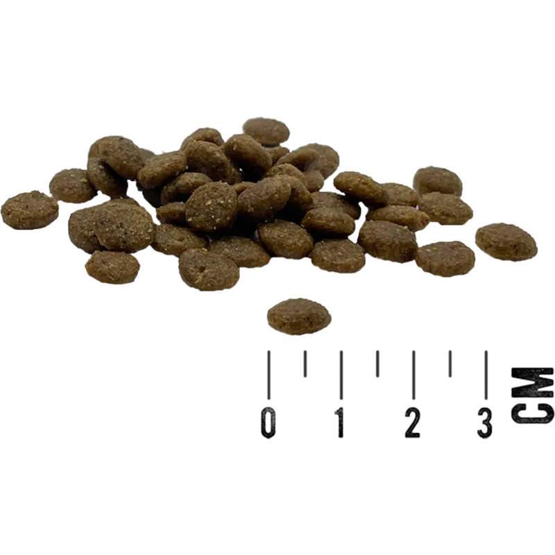 MAC’s Cat – Mono Frisches Pferd