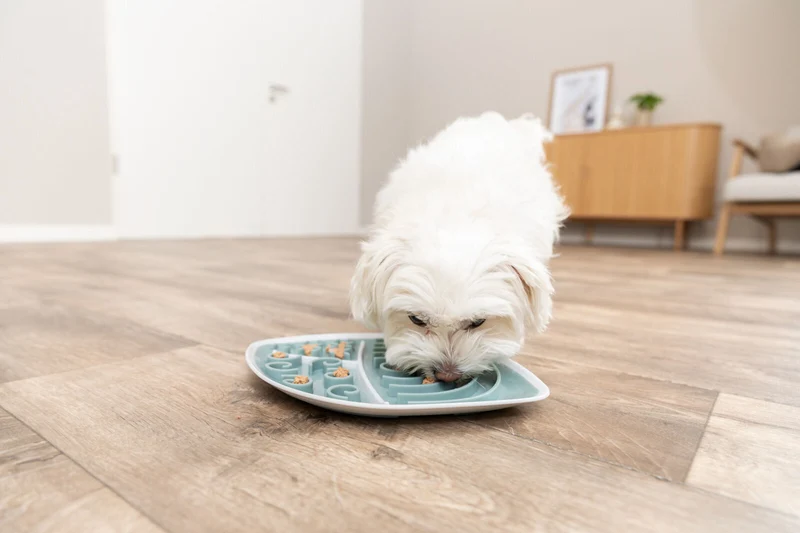 Lick’n'Snack Schleckplatte