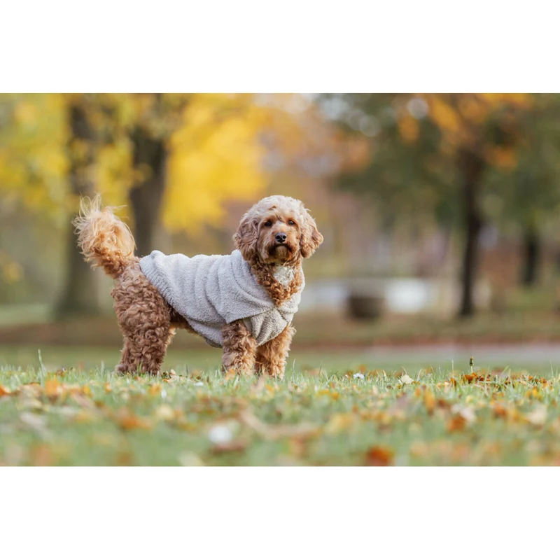 TRIXIE Hoodie Carson für Hunde | Warmer Kapuzenpullover | tiierisch.de