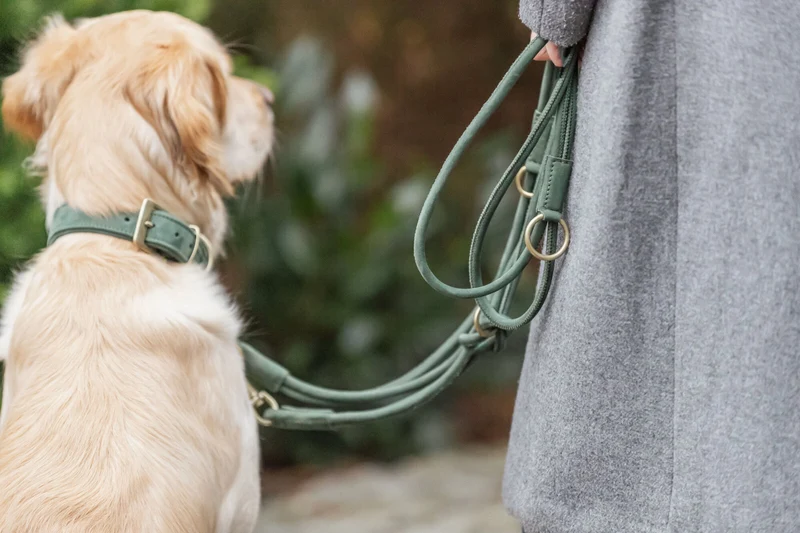 Pure Halsband, Leder extra breit