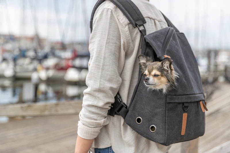 BE NORDIC Rucksack Bjorn