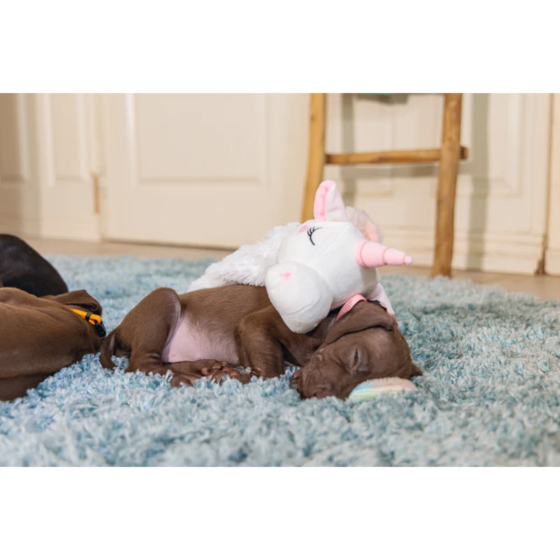 Puppy Welpen Spielzeug Flatino Einhorn