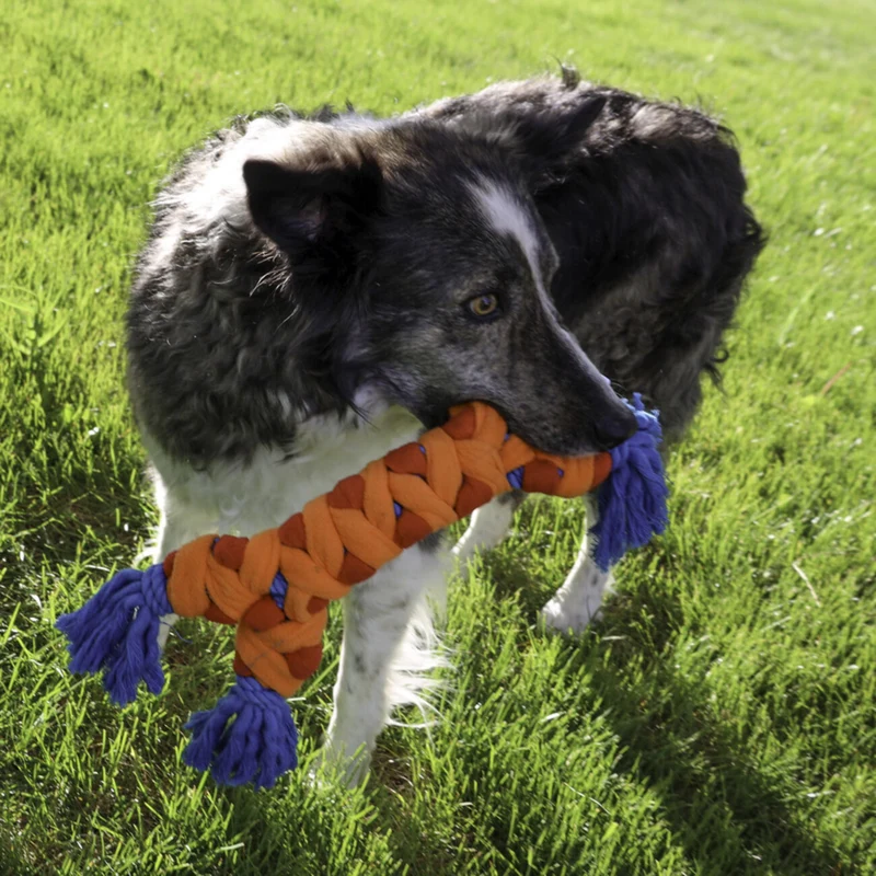 KONG Rally Bone – Seilspielzeug für Hunde | Knochen mit Seil-Enden | 38 cm