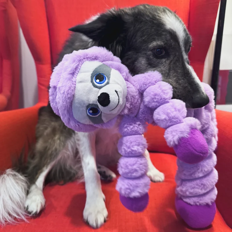 KONG Shakers Crumples XL – Plüsch-Hundespielzeug mit Knister & Quietscher | Hase, Elefant & Faultier