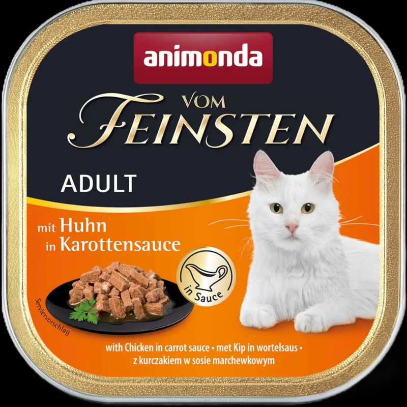 Vom Feinsten Adult in Sauce – Huhn in Karottensauce Feines Ragout mit zartem Huhn und milder Karottensauce