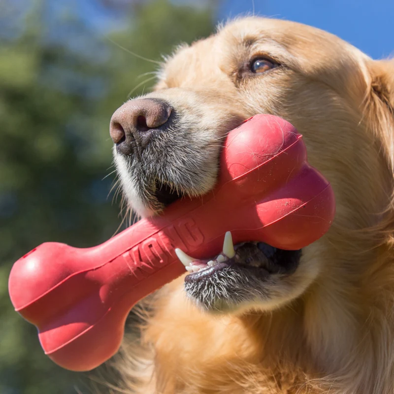 KONG Goodie Bone XL – Robuster Kauknochen aus Naturkautschuk | befüllbar | 26 cm