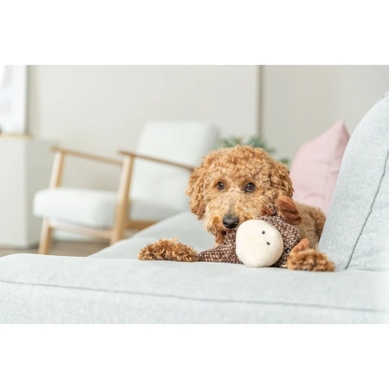 Hundespielzeug Elch aus Plüsch