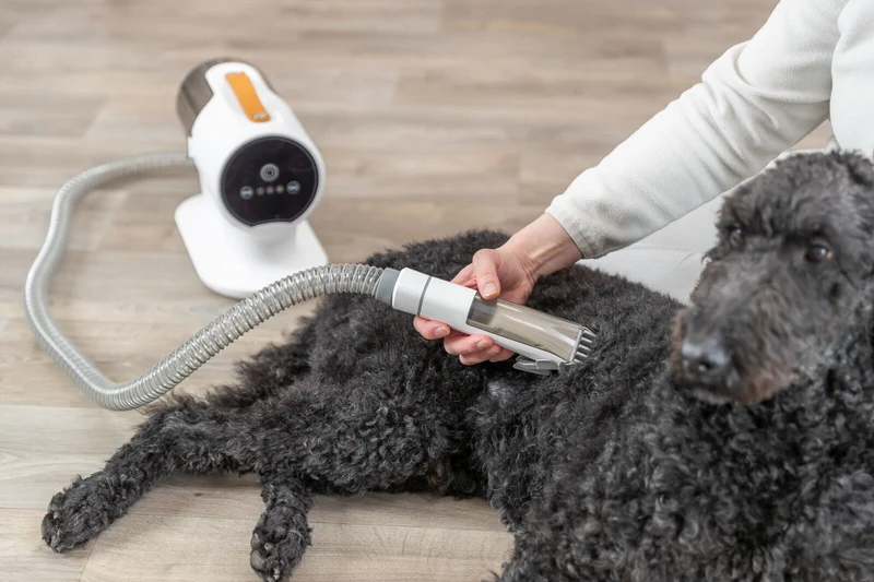 Grooming Kit