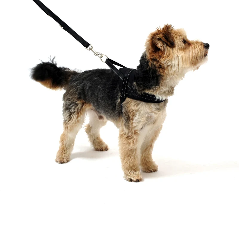 Wolters Hundegeschirr Soft & Safe reflektierend