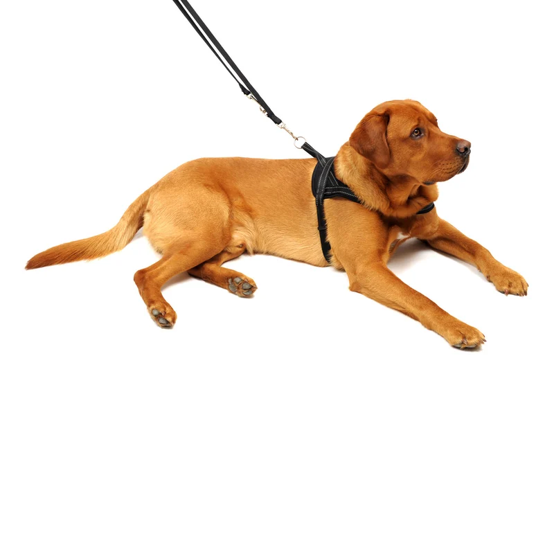 Wolters Hundegeschirr Soft & Safe reflektierend