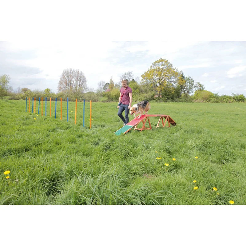 Agility Steg