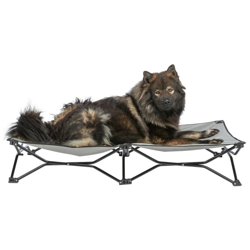 Camping-Bett Strong Edition für Hunde bis zu 50 kg
