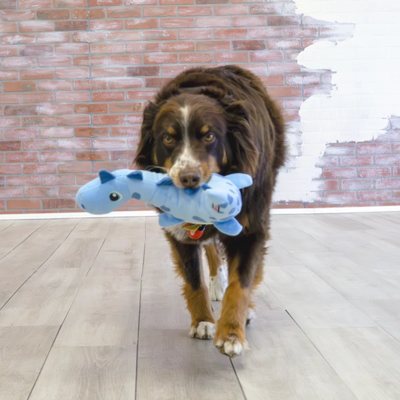 KONG Dynos Roars – Plüsch-Dino-Hundespielzeug mit übergroßem Quietscher | Apportieren & Zerren