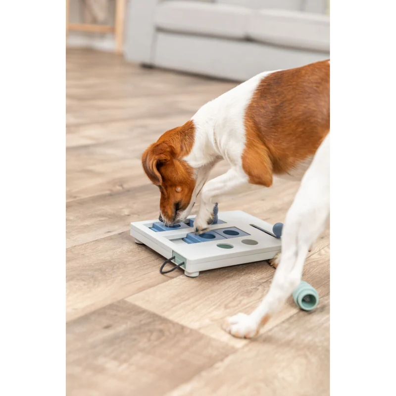 Dog Activity Strategiespiel Mini Mover für Hunde
