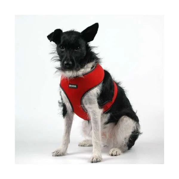 Pet-Star Softgeschirr - idealer Tragekomfort für Hunde