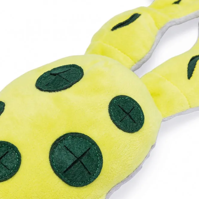 Beeztees Hide And Seek Frosch – interaktives Hundespielzeug
