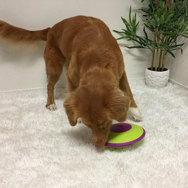Dog Treat Maze Futterkreisel