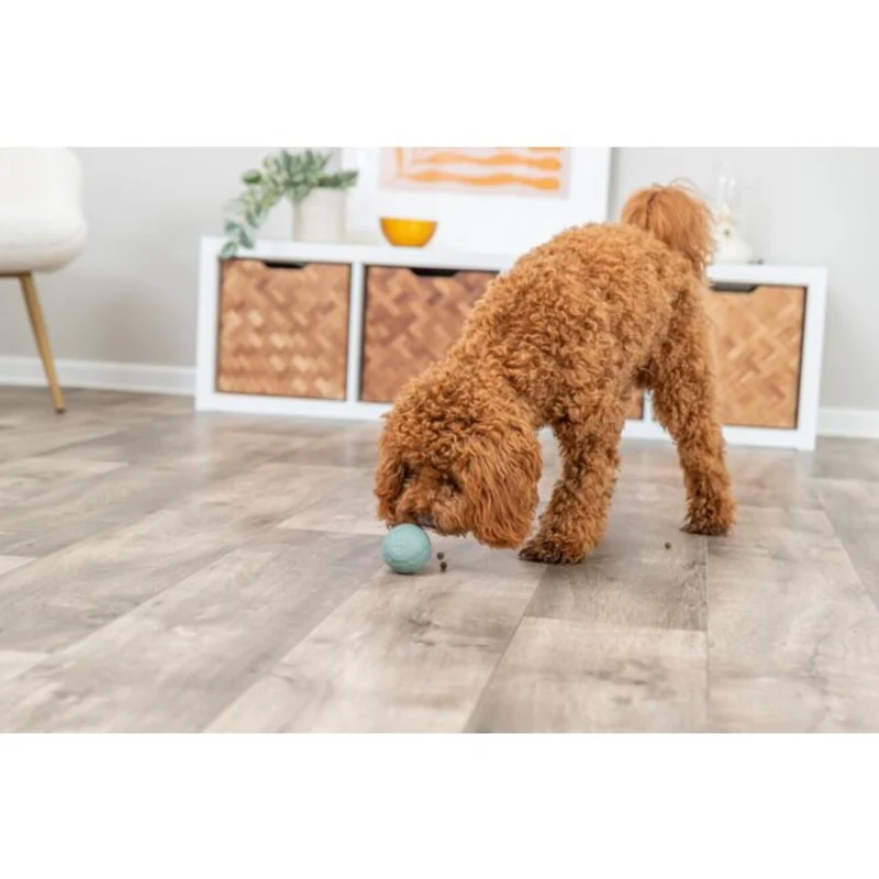 Labyrinth-Snacky Hunde Snackball