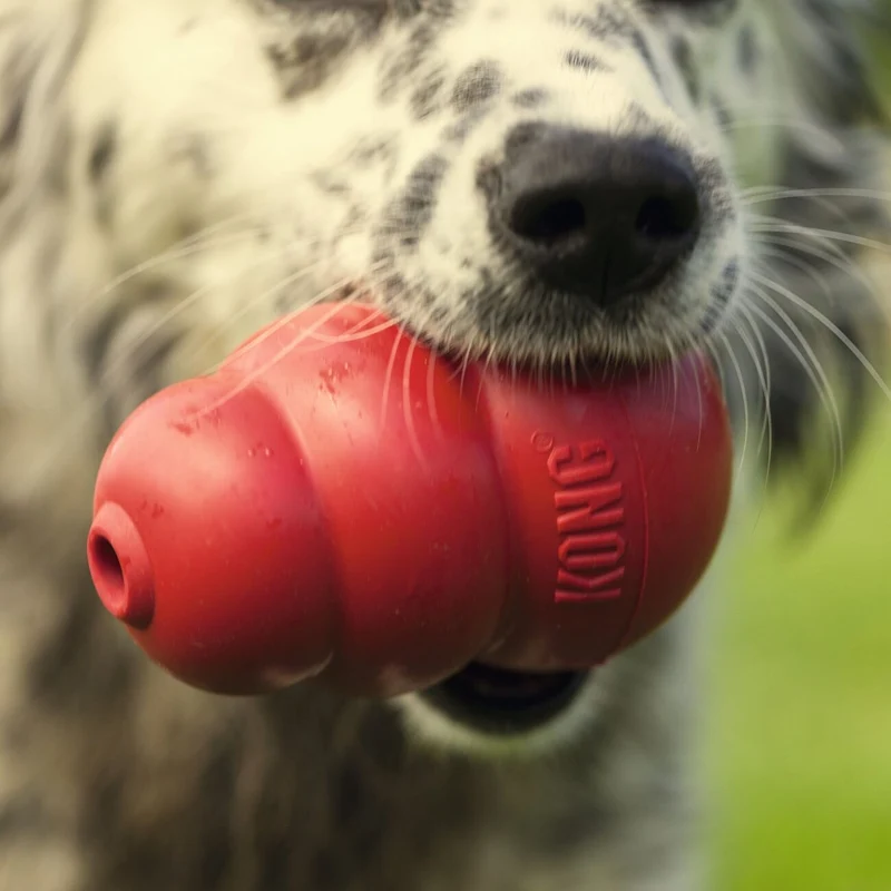 Classic rot Hundespielzeug
