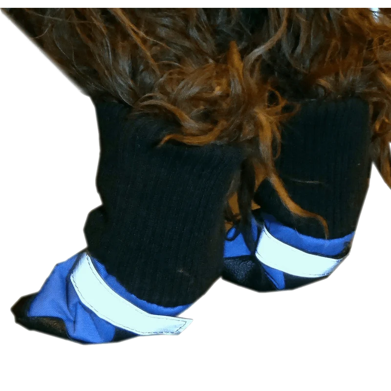 HDP Dog Boots Blue Set of 4 Medium