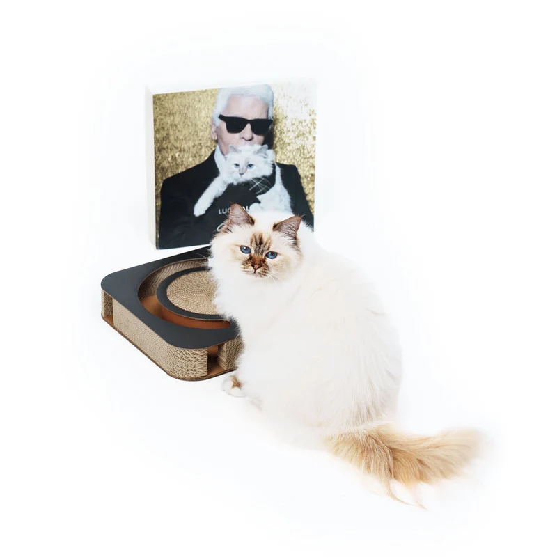 PLAYBOOK Interaktives Spielzeug | Choupette Edition