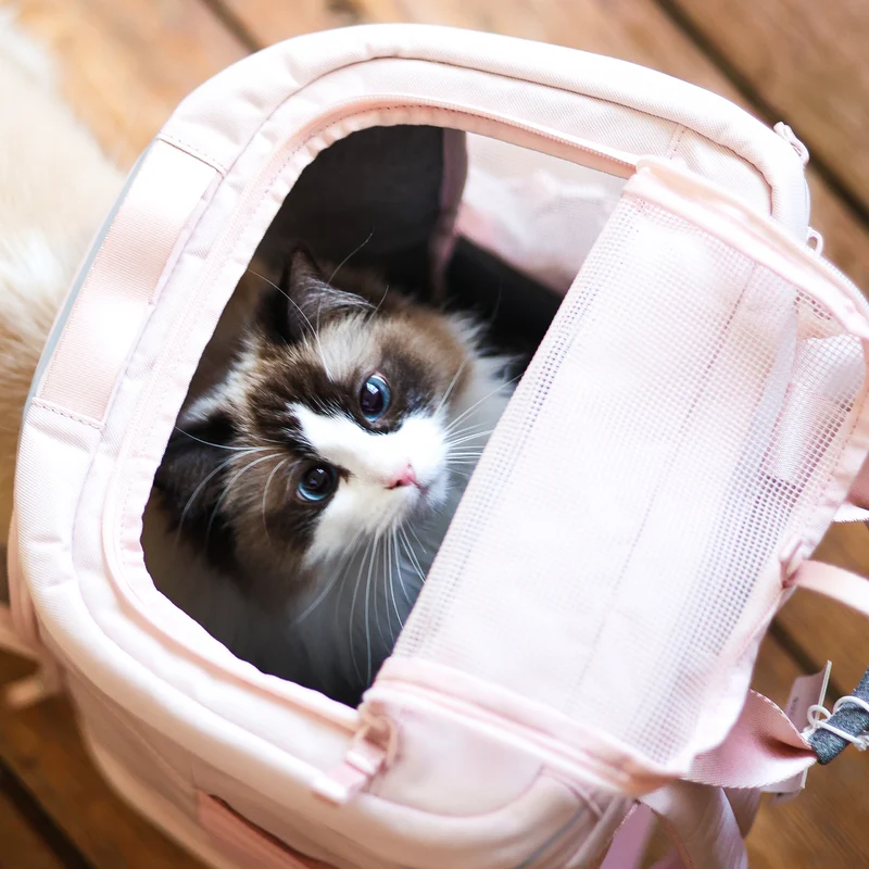 HOP-ON Katzenrucksack - Hello Kitty Edition